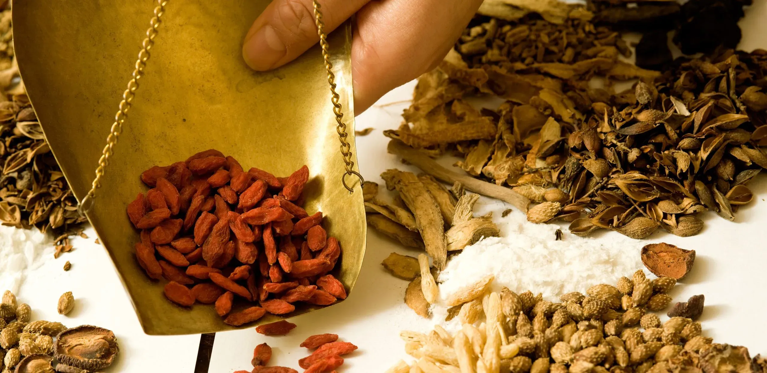 Chimed Augsburg - Zentrum Für Traditionelle Chinesische Medizin TCM - Traditionelle Chinesische Medizin