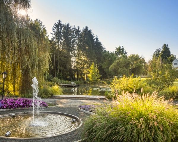 Baumwanderung Kurpark_Foto Bergmann