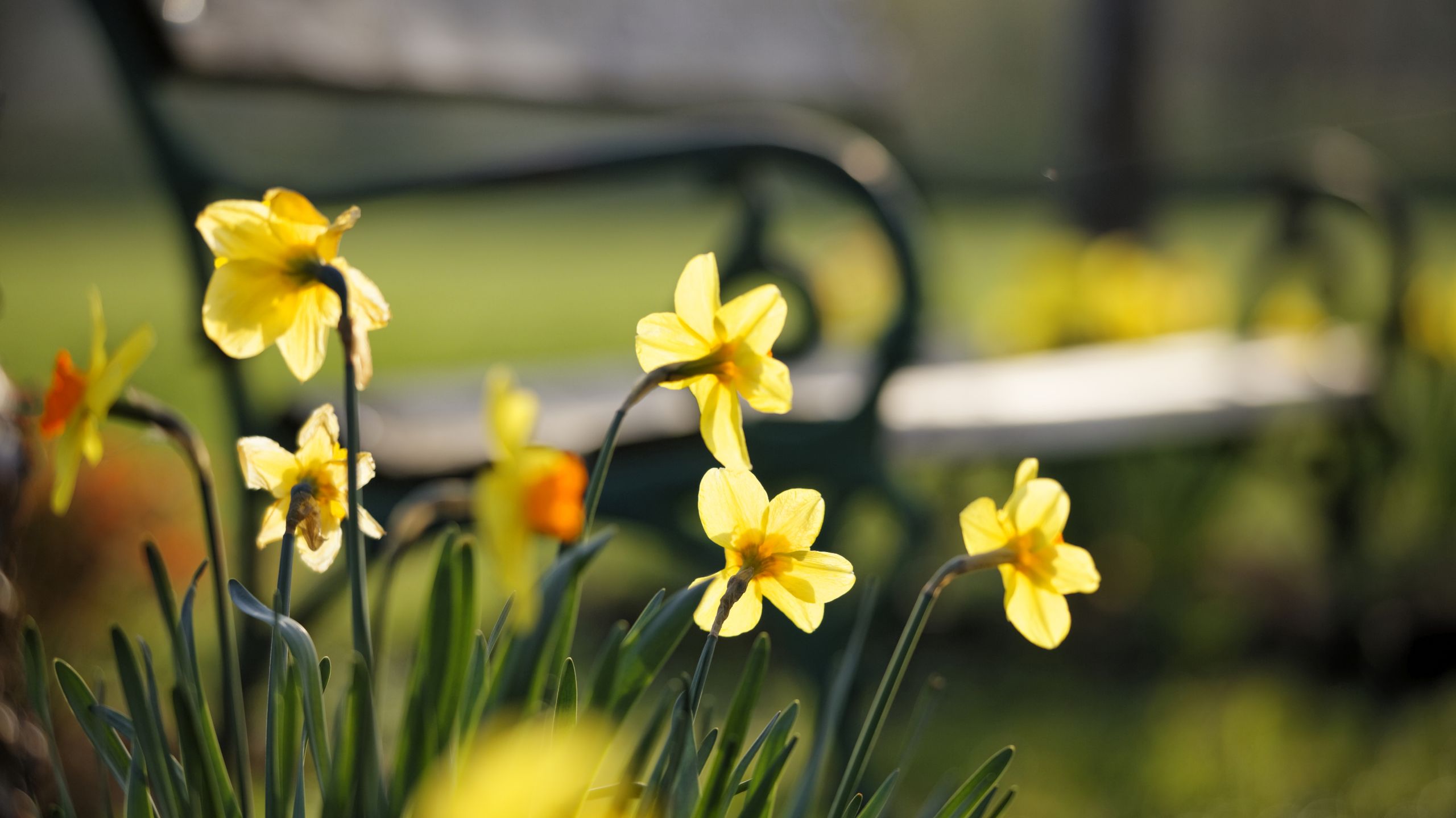 _N1A7433(c) bernhard bergmann