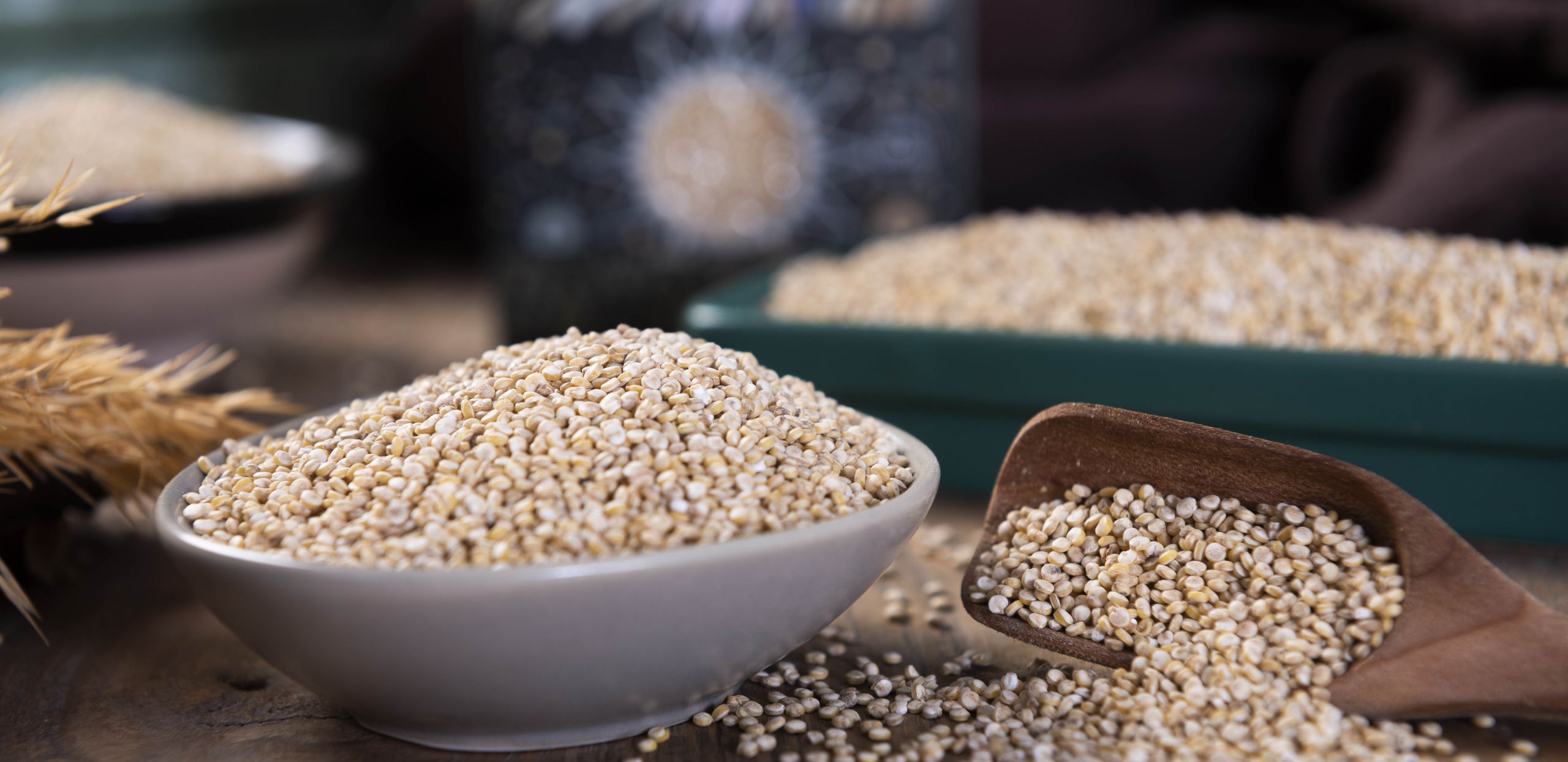quinoa-6341423