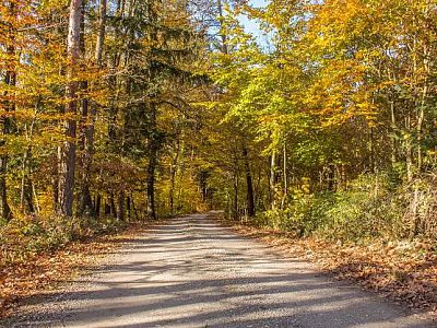 Smovey Strecke 3 - Herrschaftswald-Tour