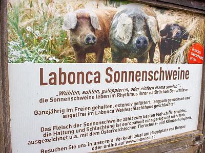 Blog-Bild