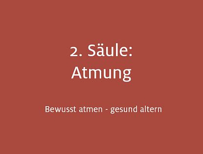 2. Säule der Gesundheit: Gesunde Atmung