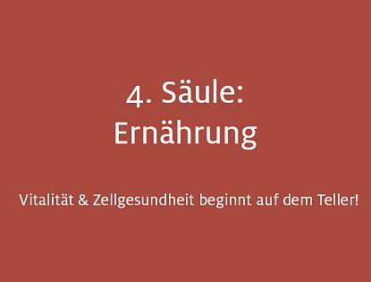 4. Säule der Gesundheit: Ernährung