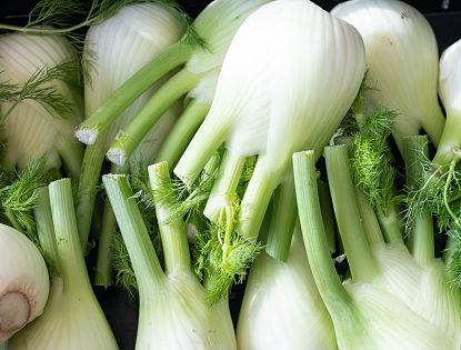 Sonnenblumenkernfenchel mit Buchweizencremeund Karottenemulsion