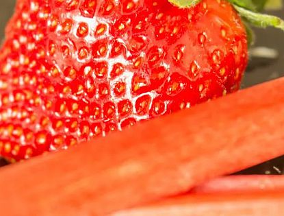 Erdbeer-Rhabarberbowle