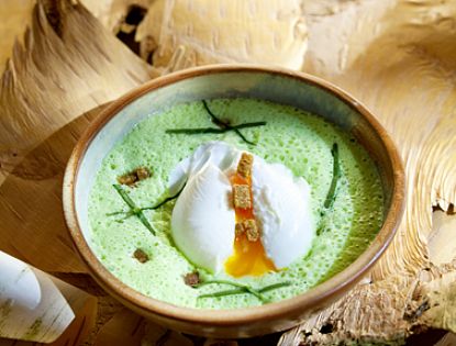 Gerichte mit Bärlauch