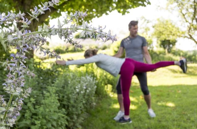 Special Back Package